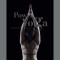 Power Yoga Book